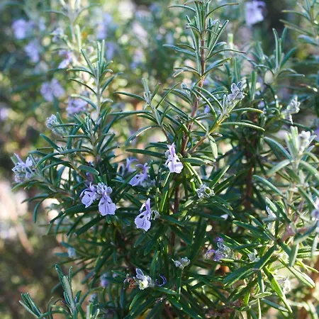 Zadarstay Appartamento *