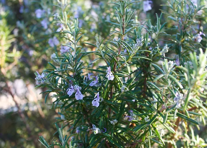 Zadarstay Appartamento *