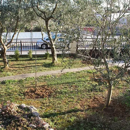 Lejlighed Zadarstay *